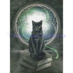 A Familiar Cat (image for) A Familiar Cat